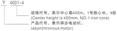 西安泰富西玛Y系列(H355-1000)高压YRKK5601-8三相异步电机型号说明